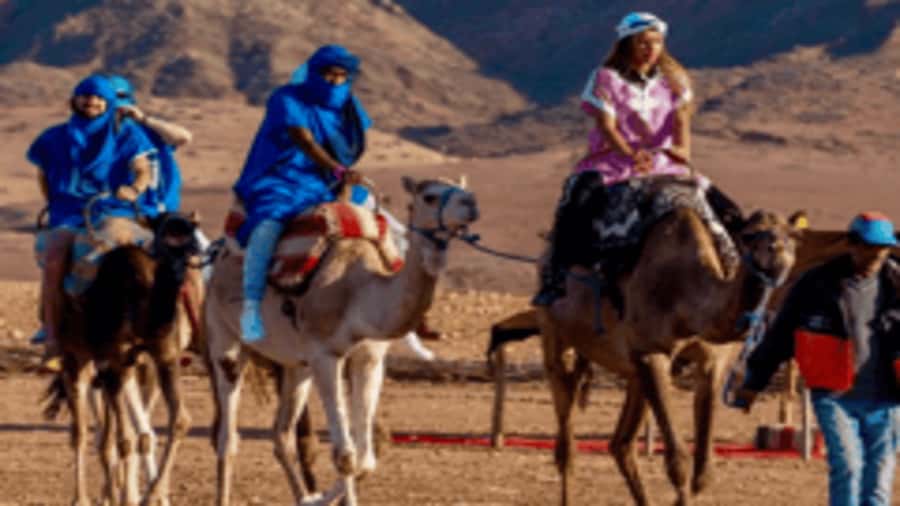 Marrakech Adventure: Paragliding, Camel Ride & Breakfast - From Marrakech streets to the High Atlas foothills