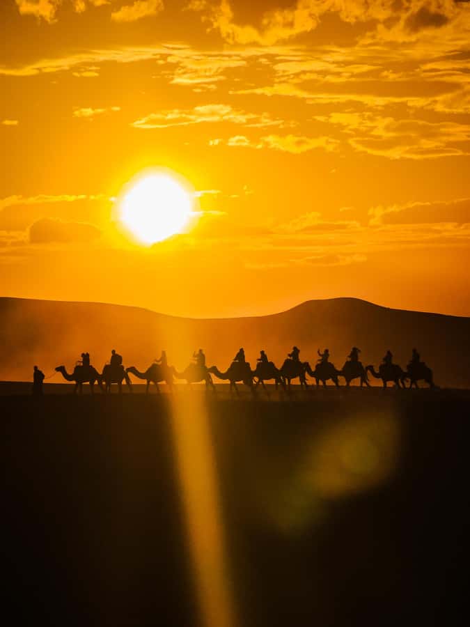 Marrakech: Agafay Camel Ride & Dinner with Fire Show Tour - The argan oil stop before the camels