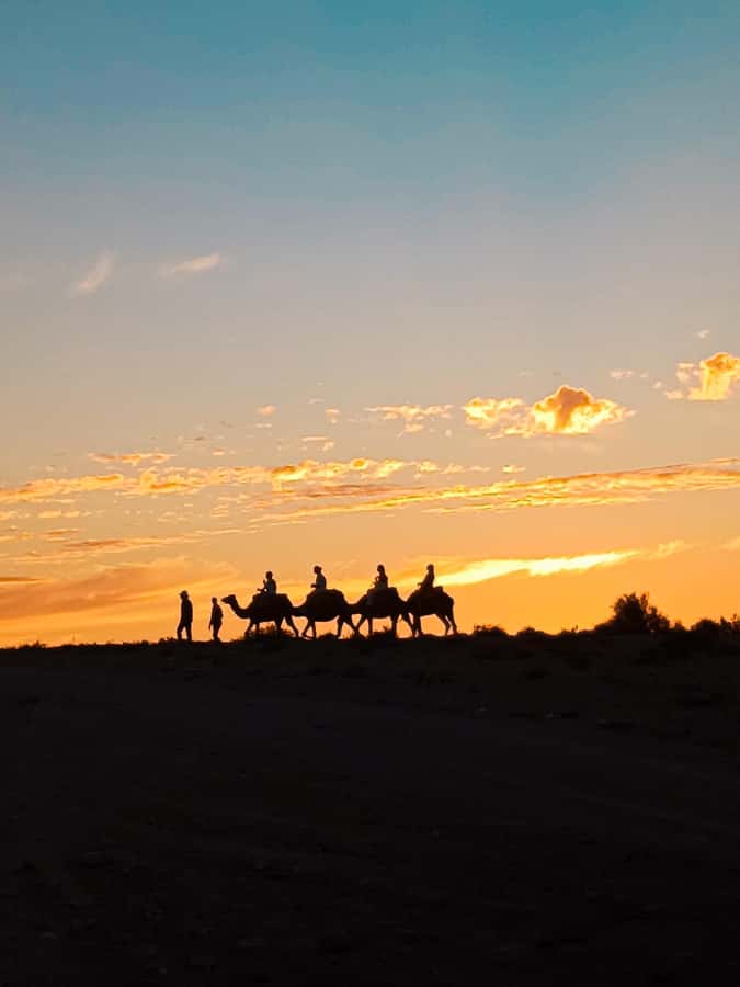 Marrakech: Agafay Camel Ride & Dinner with Fire Show Tour - A 20-minute camel ride through rocky terrain