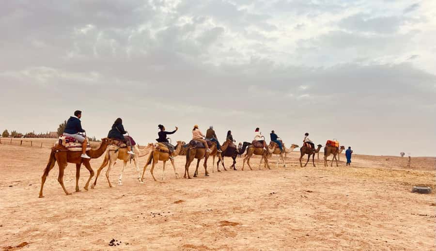 Marrakech: Agafay Desert Camel Ride, Dinner, Fire Show - Fire, music, and a lively finish
