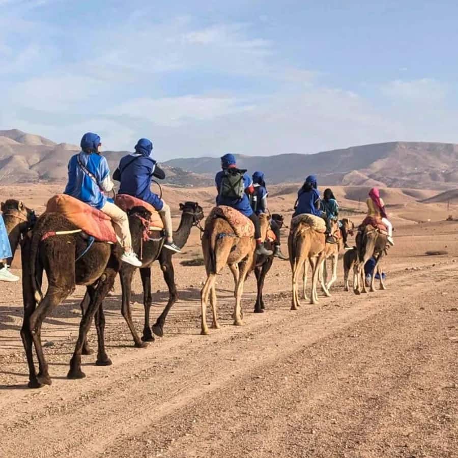 Marrakech: Agafay Desert Camel Ride & Quad with Dinner Show - Moroccan dinner under the Amazigh tent