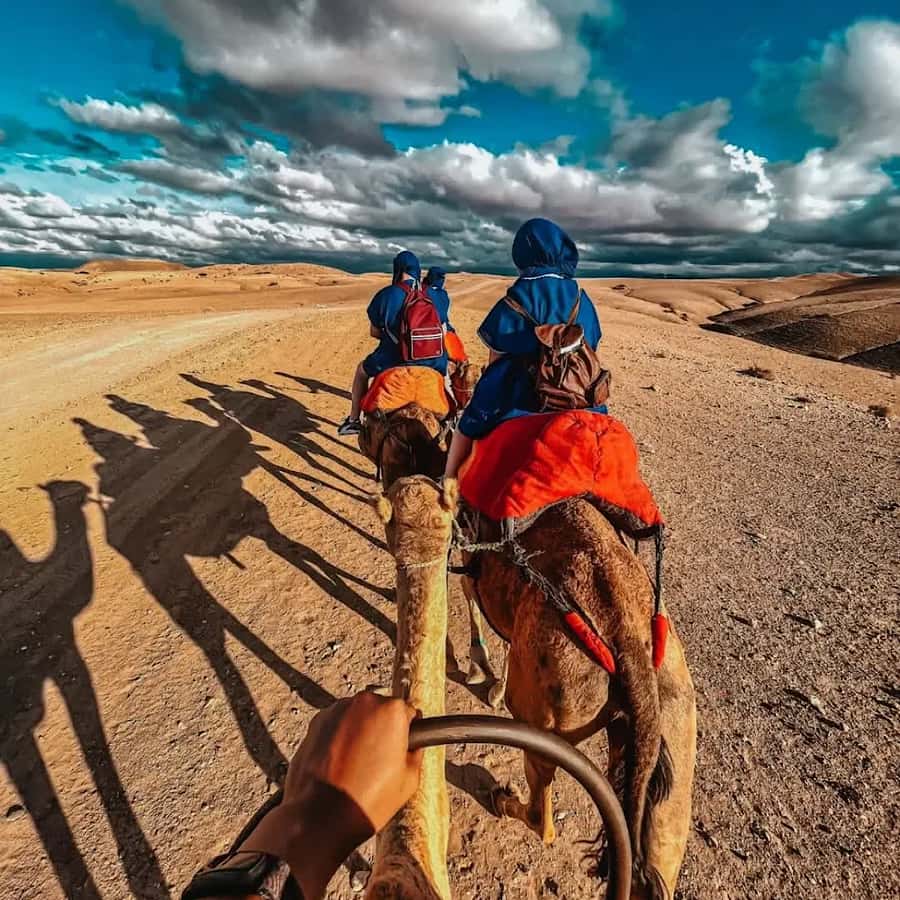 Marrakech: Agafay desert camel ride with dinner & spectacle - Key points to know before booking