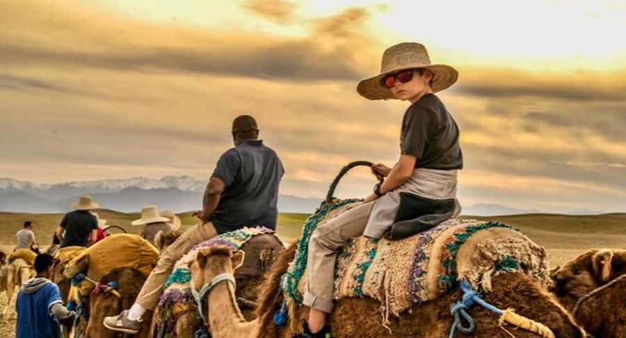 Marrakech: Agafay desert camel ride with dinner & spectacle - A gentle 20-minute camel ride at sunset