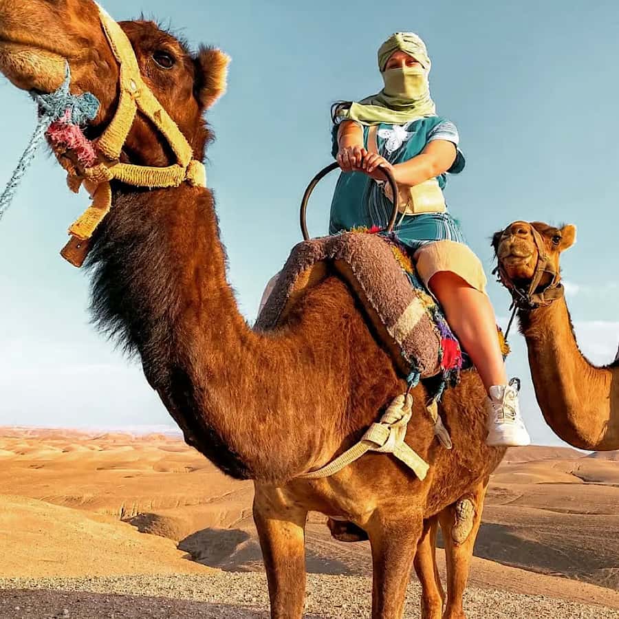 Marrakech: Agafay desert camel ride with dinner & spectacle - How the evening fits together