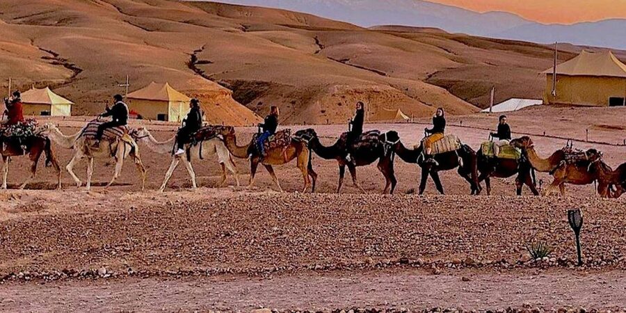 Marrakech: Agafay Desert Camel Rides, Dinner and Fire Show - Quad biking brings the noise and speed