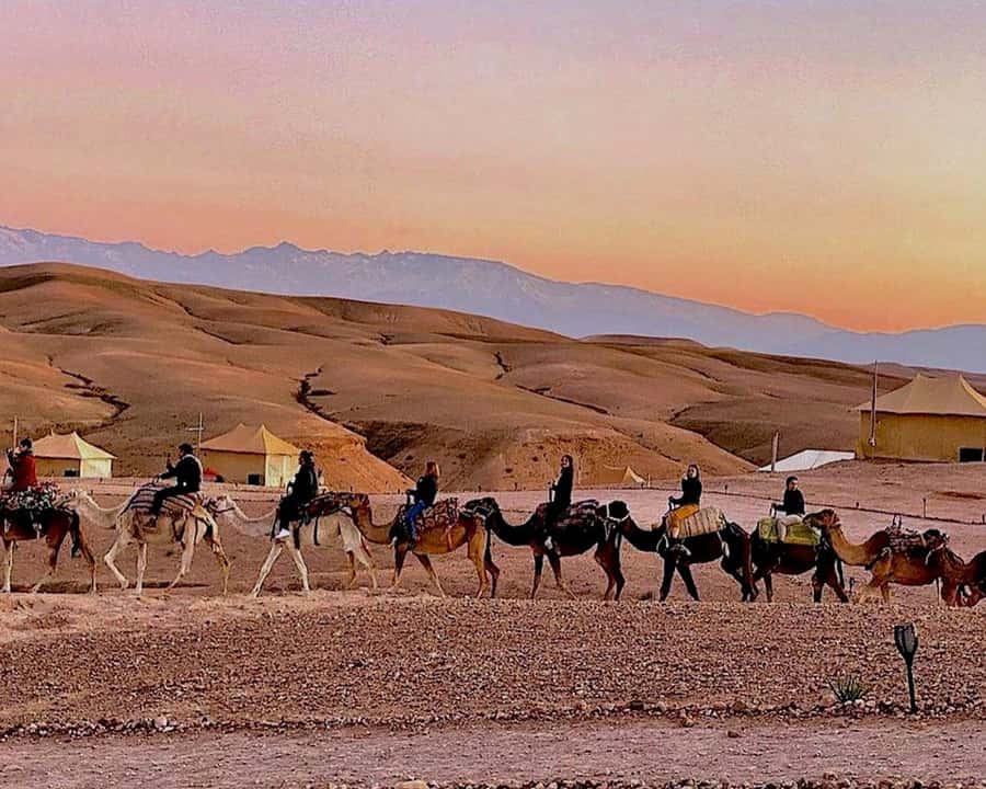 Marrakech: Agafay Desert Camel Rides, Dinner and Fire Show - Dinner under the stars