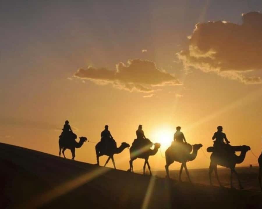Marrakech: Agafay Desert Camel Rides, Dinner and Fire Show - Guides make a real difference