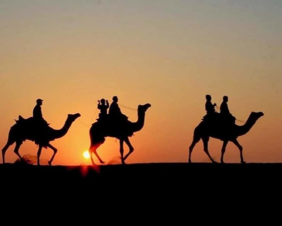 Marrakech: Agafay Desert Camel Rides, Dinner and Fire Show - The argan oil cooperative adds local context
