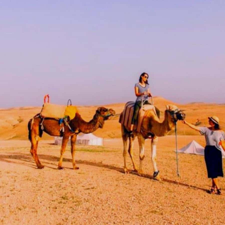 Marrakech: Agafay Desert Camp Lunch with Camel Ride and Pool - The camel ride: pleasant, photogenic, and fairly short