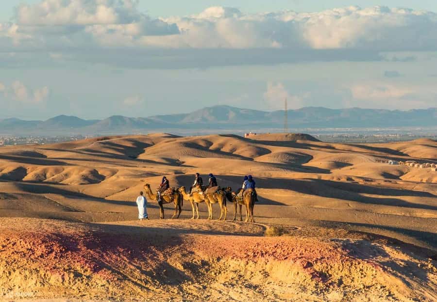 Marrakech: Agafay Desert Dinner Show with Quad Bike & Camel - The Guides Are a Major Strength