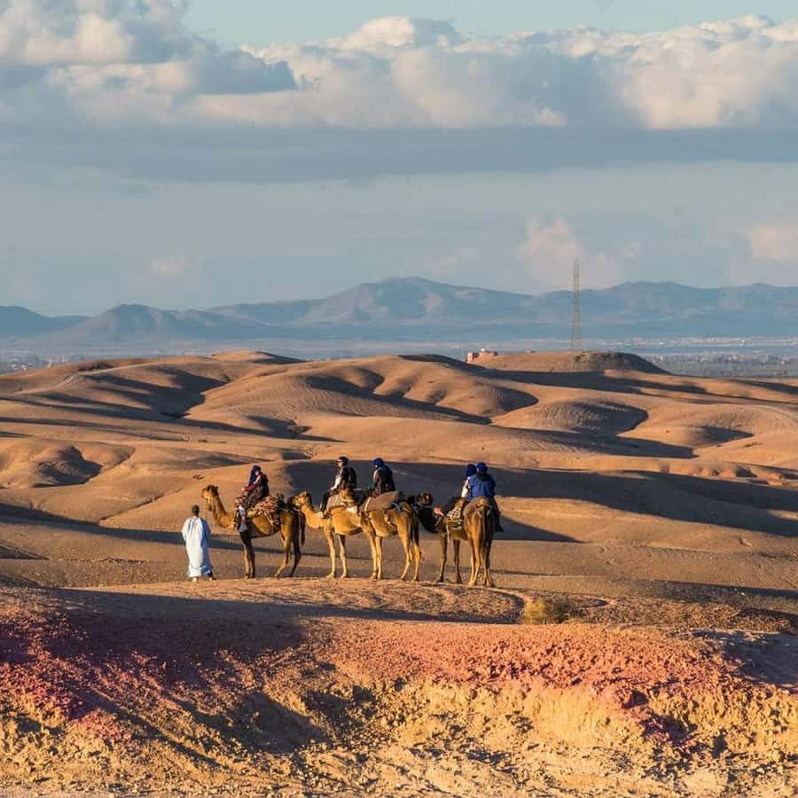 Marrakech: Agafay Desert Dinner Show with Sunset Camel Ride - How the guides shape the evening