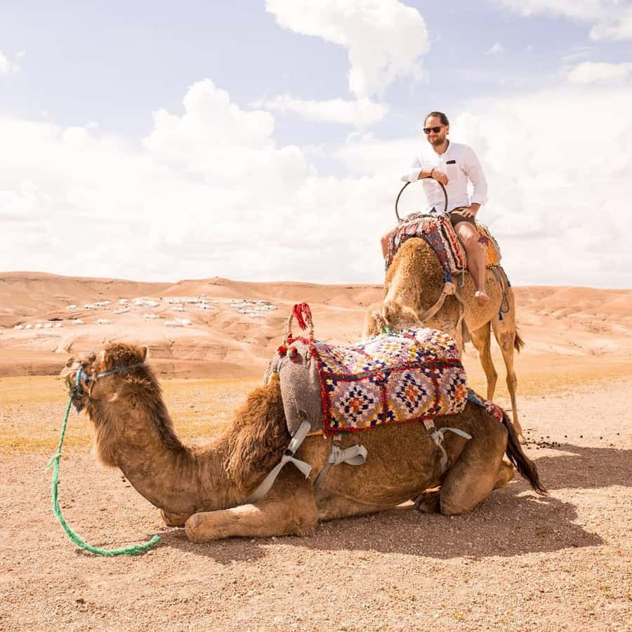 Marrakech: Agafay Desert Dinner with Music and Fire Show - Key points at a glance