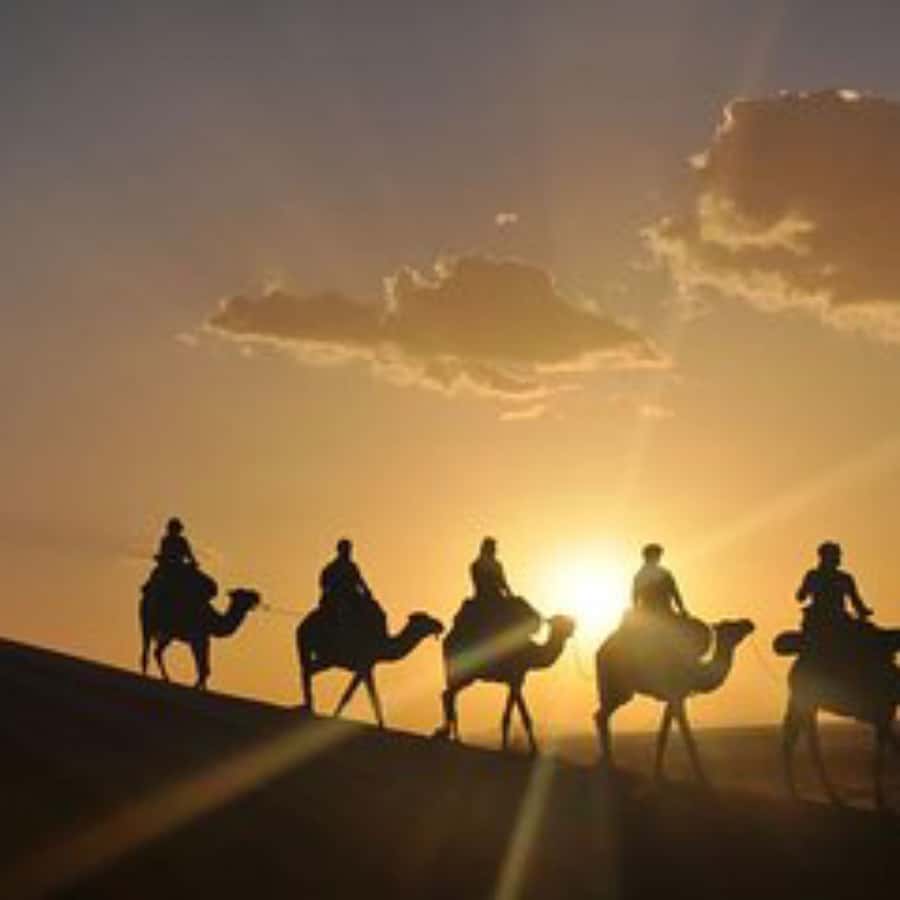 Marrakech: Agafay Desert Dinner with Music and Fire Show - Berber music, dancing, and a friendly mood