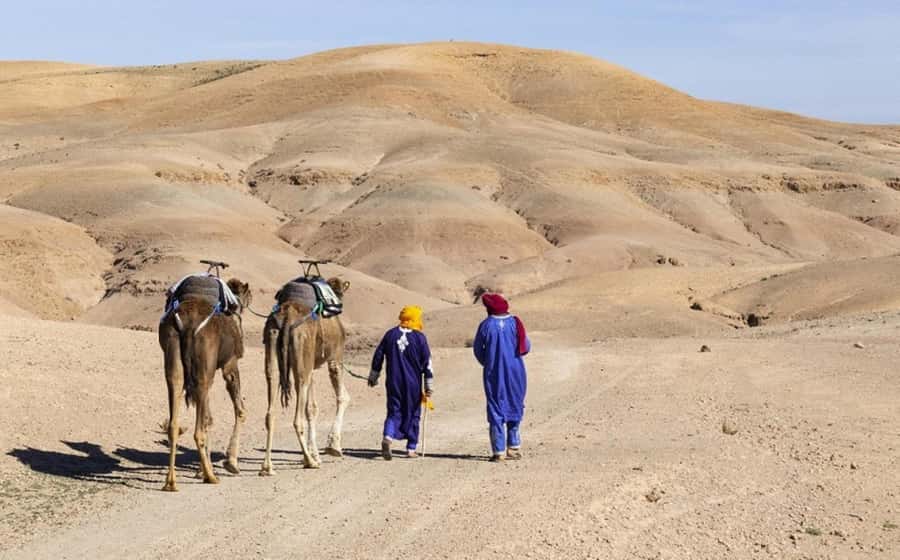 Marrakech: Agafay Desert, Lunch, Camel Ride, & Swimming Pool - How much value do you get for $40?