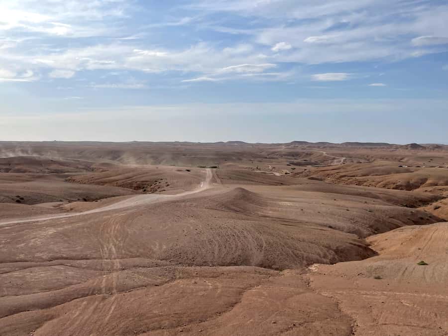 Marrakech: Agafay Desert, Lunch, Camel Ride, & Swimming Pool - Who will enjoy this Agafay day trip?