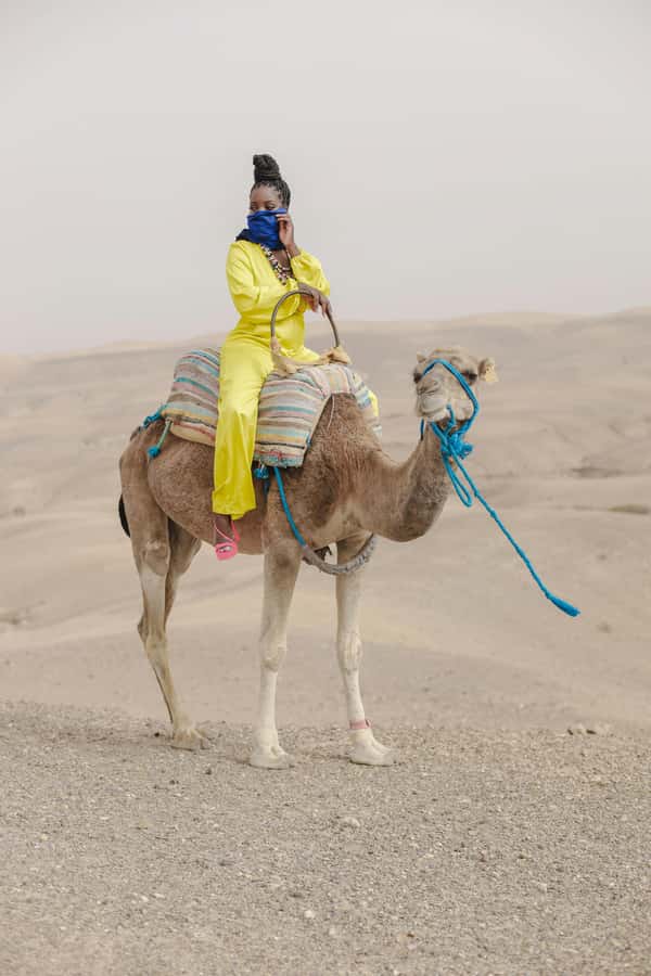 Marrakech: Agafay Desert Quad Bike with Camels & Dinner Show - Who should book this Agafay outing?