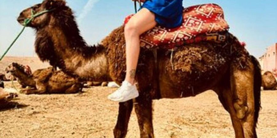 Marrakech: Agafay Desert Quad Biking with Dinner Show - Sunset on a camel, with one important booking question