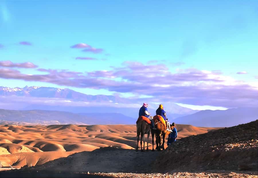 Marrakech: Agafay Desert Quad, Camel or Pool Day with Lunch - Mint tea, pools, and a useful pause