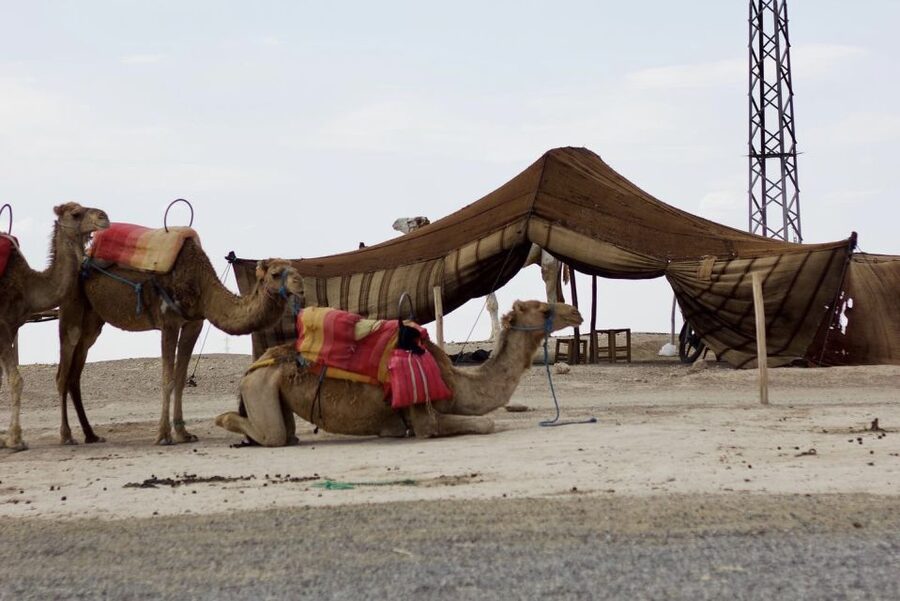 Marrakech: Agafay Desert Quad, Camel or Pool Day with Lunch - Music, dancing, and fire after sunset