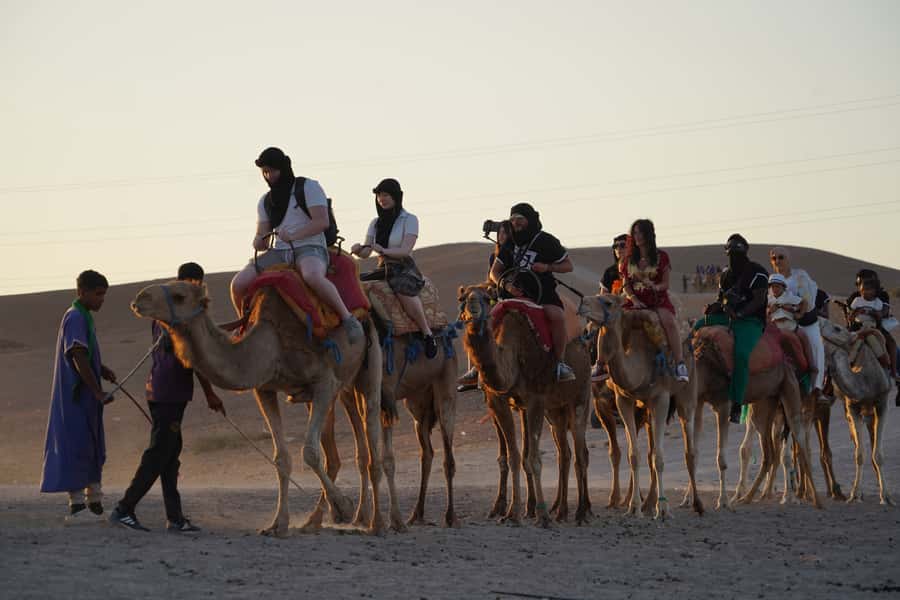 Marrakech: Agafay Desert Quad, Camel or Pool Day with Lunch - What the $28 price really buys