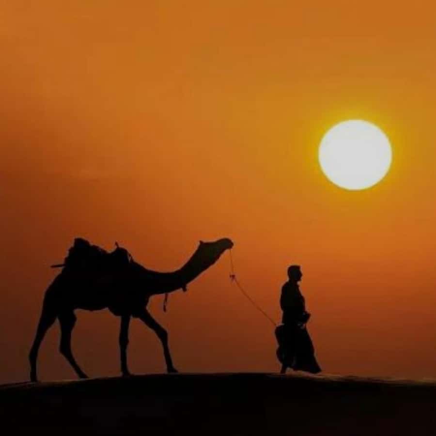 Marrakech: Agafay Desert Quad & Camel Rides with Dinner Show - The argan oil cooperative adds a local stop