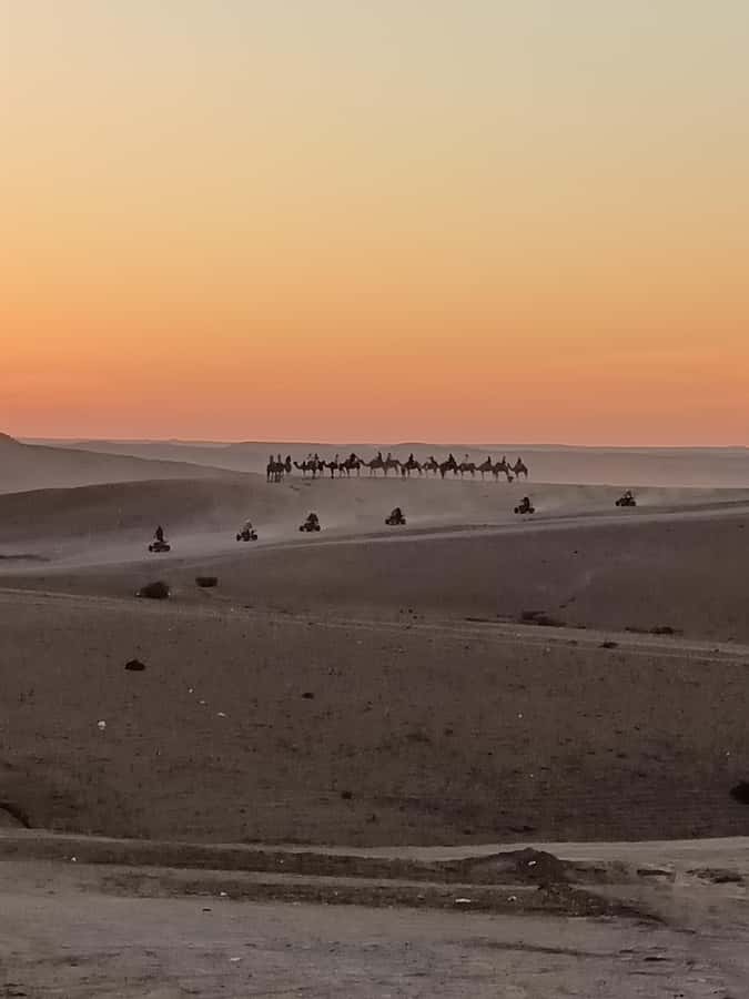 Marrakech: Agafay Desert Quad & Camel Rides with Dinner Show - A short camel ride as the sun drops