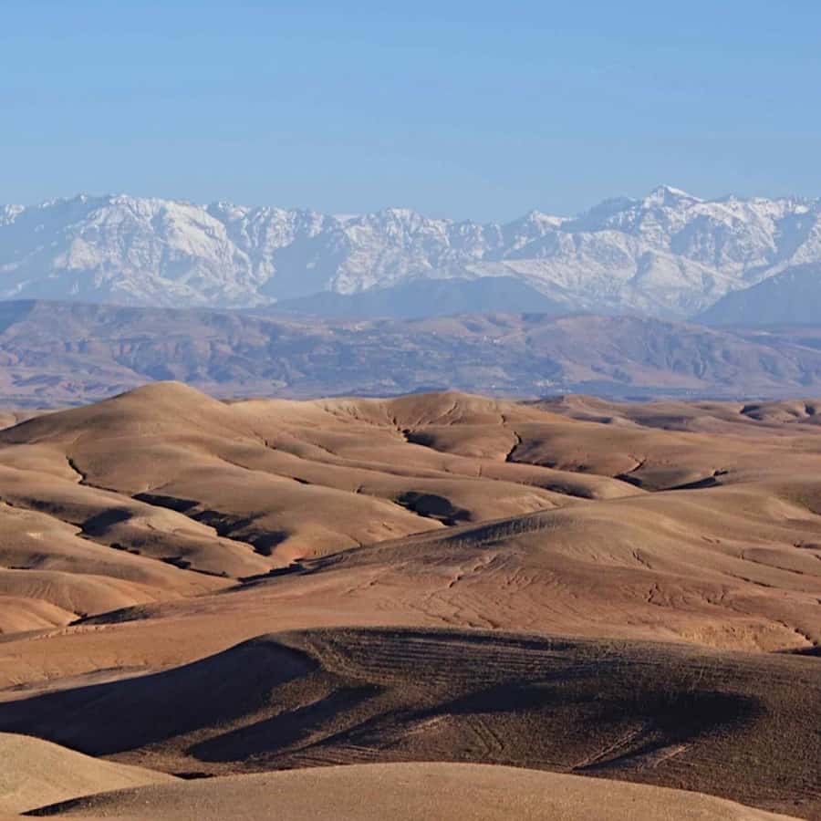 Marrakech: Agafay Desert Quad & Camel Rides with Dinner Show - The argan oil cooperative and a useful first stop