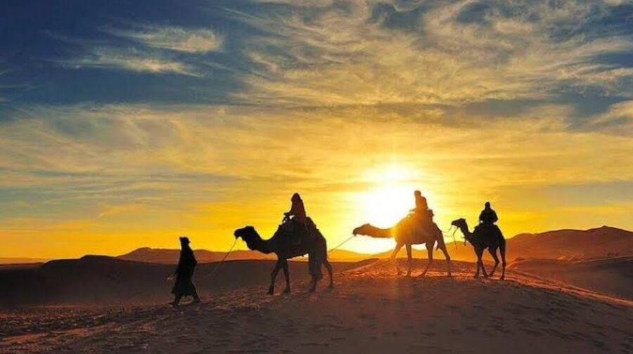 Marrakech: Agafay Desert Sunset, Camel Ride, and Dinner Show - Is $20 good value?