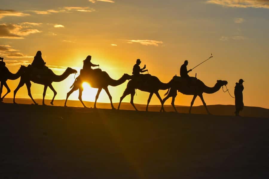 Marrakech: Agafay Desert Sunset, Camel Ride, and Dinner Show - How the guides shape the evening