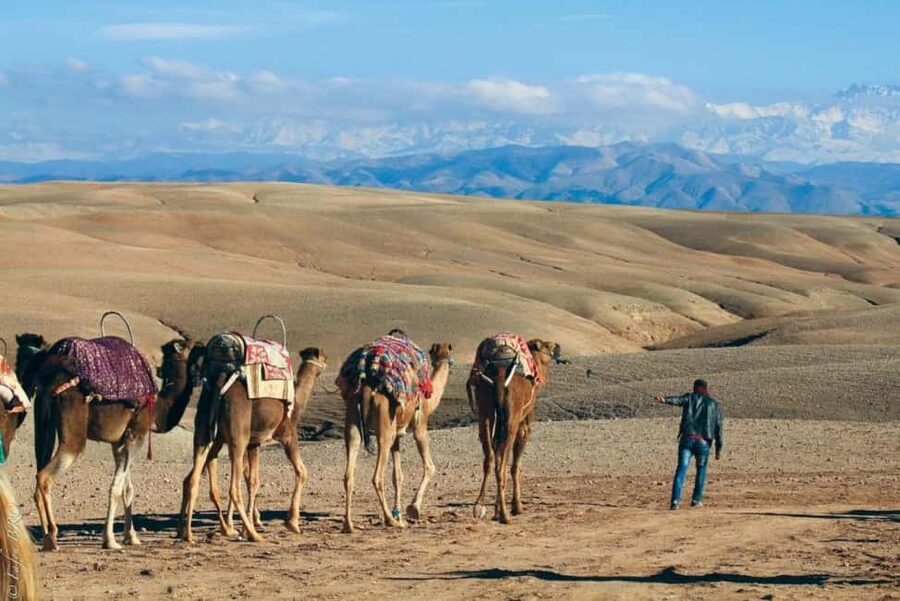 Marrakech: Agafay Desert Sunset, Camel Ride, Dinner and Show - Sunset from a camel’s back