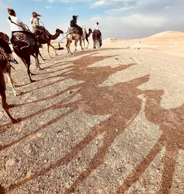 Marrakech: Agafay Desert Sunset, Camel Ride, Dinner and Show - Transport, timing, and comfort