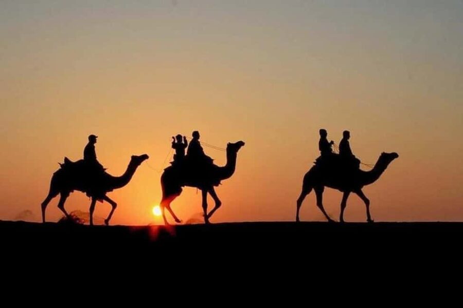 Marrakech: Agafay Desert Sunset, Camel Ride, Dinner and Show - Who should book this Agafay evening?