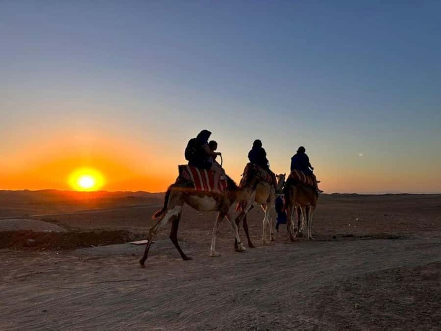 Marrakech: Agafay Desert Trip with Activities and Dinner - What the guides add to the experience