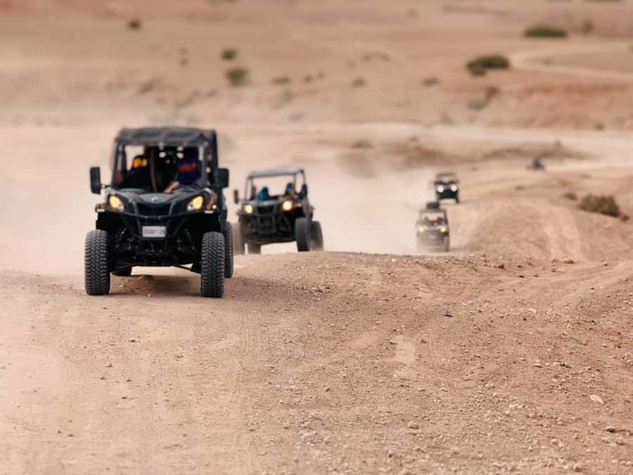 Marrakech: Agafay Dinner Show, Camel Ride, Quad, or Buggy - Choosing between a quad and a buggy