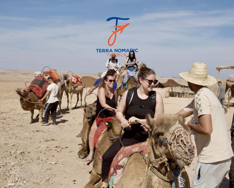 Marrakech: Agafay Dinner Show with Quad/Camel Ride and Pool - Camel riding at golden hour
