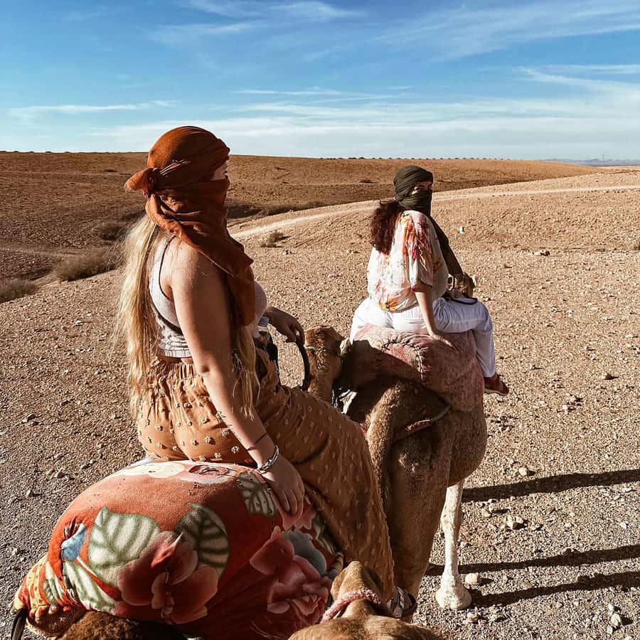 Marrakech: Agafay Quad Tour with Camel Ride, Dinner & Show - What the $26 price really includes