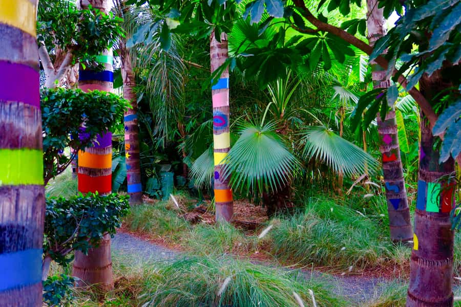 Marrakech: André Heller's ANIMA Garden Ticket - Booking advice and final call