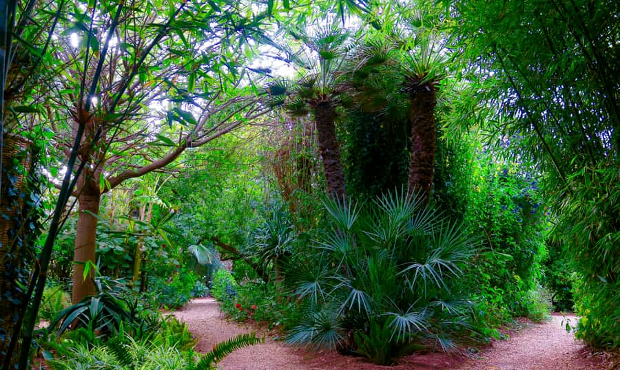 Marrakech: André Heller's ANIMA Garden Ticket - Art that works because of its setting