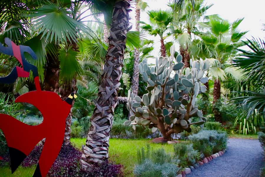 Marrakech: André Heller's ANIMA Garden Ticket - Taking a break at the cafe