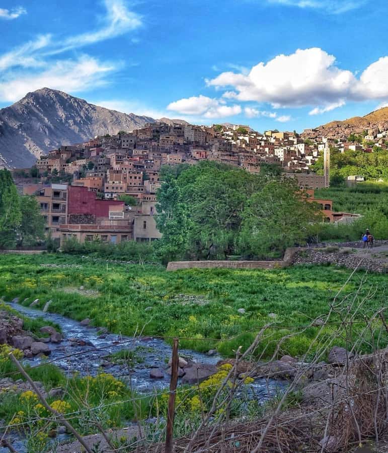 Marrakech: Atlas Mountain, Berber Villages, & Valleys Tour - The women-managed argan cooperative