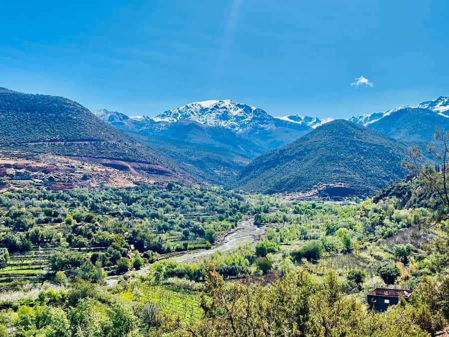 Marrakech: Atlas Mountain, Berber Villages, & Valleys Tour - Aroumd and the terraced fields