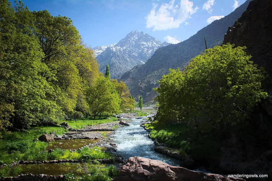Marrakech: Atlas Mountains & Agafay Desert Tour w Camel Ride - Across the Kik Plateau
