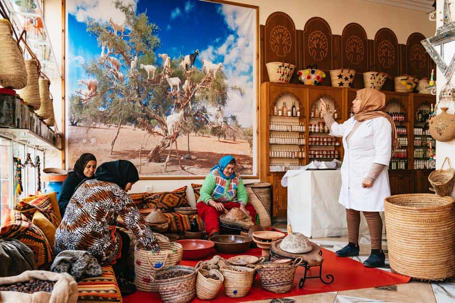 Marrakech: Atlas Mountains and 5 Valleys Day Tour with Lunch - At a glance: what makes this day trip worthwhile