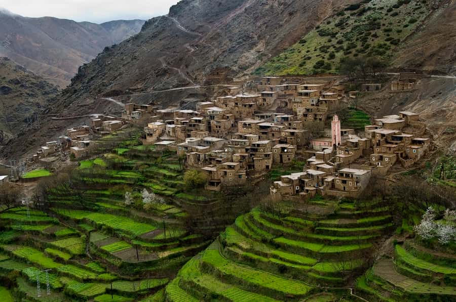 Marrakech: Atlas Mountains and Desert Safari with Lunch - Crossing the Kik Plateau by 4x4