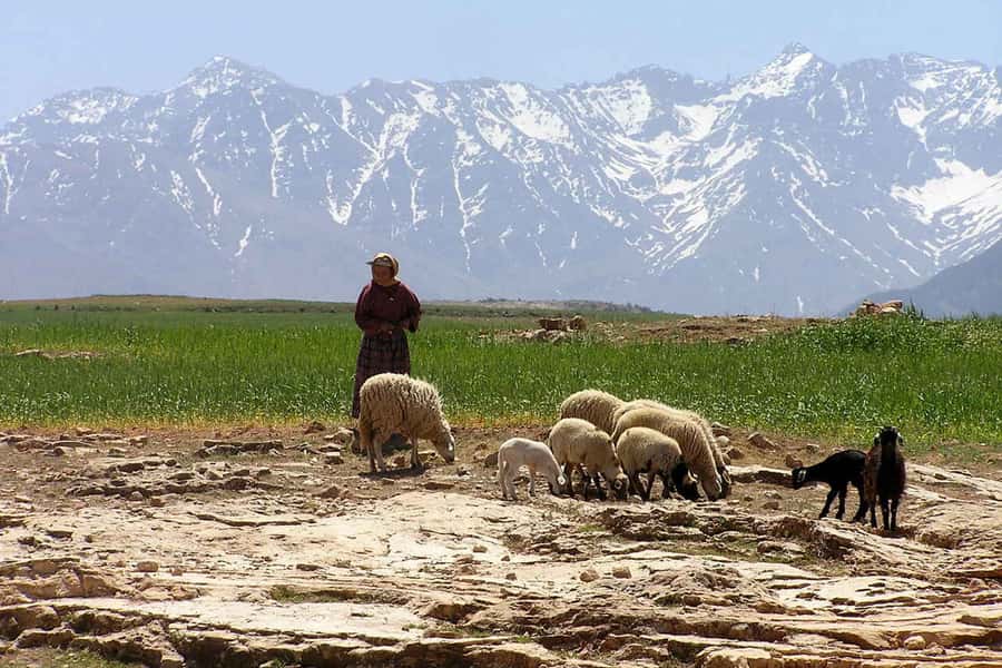 Marrakech: Atlas Mountains and Desert Safari with Lunch - The walk to Armed village and the waterfall