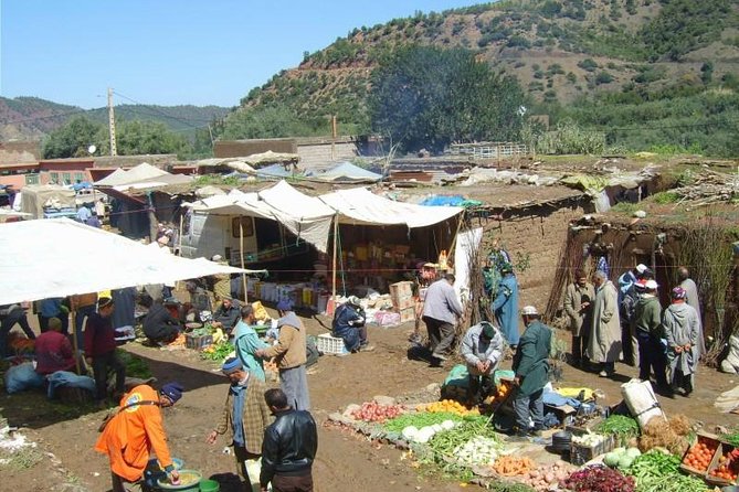 Marrakech: Atlas Mountains, Berber Villages, Agafay & Camel Ride - Takerkoust Lake and a mint tea break