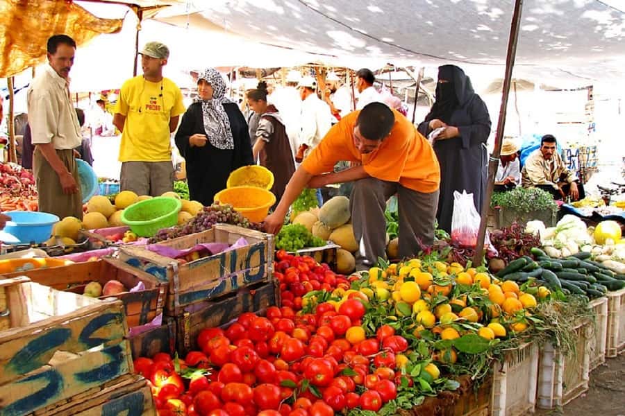 Marrakech: Atlas Mountains, Camel Ride, Waterfalls, & Lunch - The guides and the feel of the group