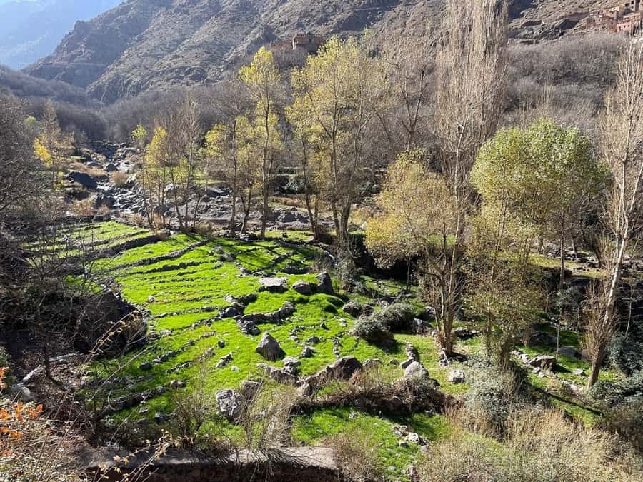 Marrakech: Atlas Mountains, Camel Ride, Waterfalls, & Lunch - Who should book this Atlas Mountains day trip?