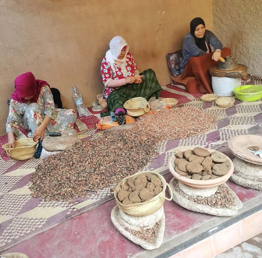 Marrakech: Atlas Mountains, Ourika Valley, Waterfall & Guide - From Marrakech to the foothills in 45 minutes