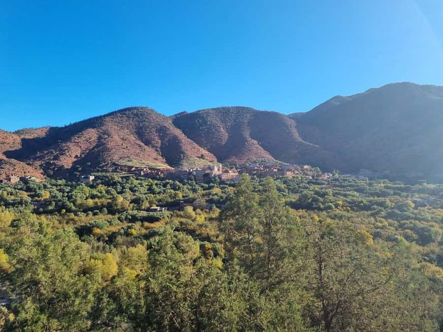 Marrakech: Atlas Mountains, Ourika Valley, Waterfall & Lunch - FAQ